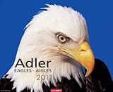 Adler 2011 / Eagles 2011 / Aigles 2011 by