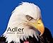 Adler 2011 / Eagles 2011 / Aigles 2011 by