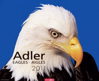 Adler 2011 / Eagles 2011 / Aigles 2011