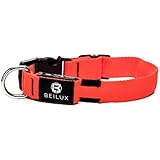 [Gesponsert]Leuchtendes aufladbares USB Hunde Halsband: Hohe Sichtbarkeit durch helle LED - In 4 verschiedenen Größen - Modus Blinken und Strahlen - Aus reflektierendem Nylon mit Metallring - Sicherheit Nachts