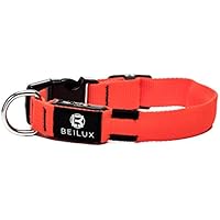[Gesponsert]Leuchtendes aufladbares USB Hunde Halsband: Hohe Sichtbarkeit durch helle LED - In 4 verschiedenen Größen - Modus Blinken und Strahlen - Aus reflektierendem Nylon mit Metallring - Sicherheit Nachts