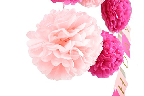 HAPPY BIRTHDAY Girlande Rosa Dekoration Serie 6er Set Seidenpapier PomPoms Deko - 3