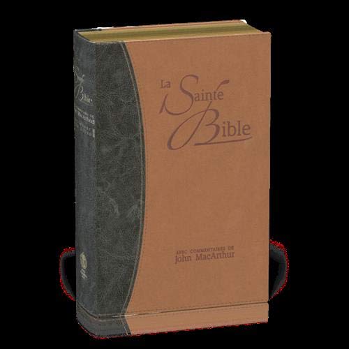 Télécharger Bible NEG MacArthur : souple similicuir duo bleu et brun, tranches or Livre PDF Gratuit