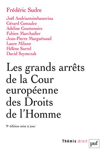 Télécharger Les grands arrêts de la Cour européenne des droits de l'homme Livre PDF Gratuit