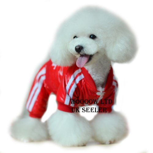 ADog-ClothesSport-Pet-clothes-Winter-Spring3-coloursplease-let-me-know-your-chosen-colour-Red-Yellow-Black-XXL