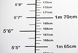 Height meter, metric and imperial