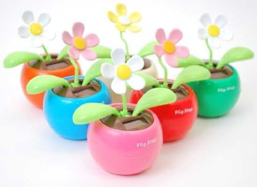 "Feel-good flower" solar