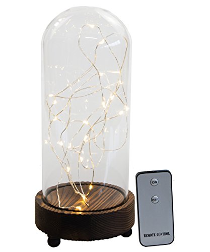 Skaize Cúpula de cristal Hada Luz Bombilla Lámpara de mesa con mando a distancia a la decoración de iluminación (LED Luz Cadena operativos, batería)