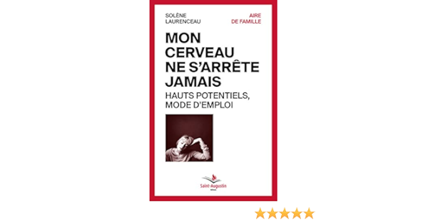 Mon Cerveau Ne S Arrete Jamais Hauts Potentiels Mode D Emploi Amazon Fr Laurenceau Solene Livres