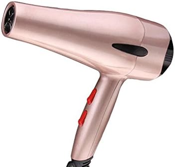 3000W Compact powerful Professional Negative Ionic Hair Dryer with 5 Speed and 3 Heat Setting Dryer- Jasmine fragrant , Gold