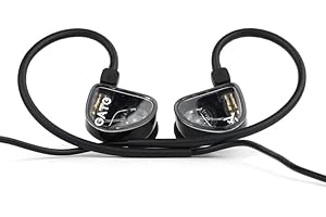 Fanmusic TRUTHEAR GATE Kostengünstiger dynamischer Treiber-In-Ear-Kopfhörer mit 0,78 2-poligem Kabel (schwarz, kein Mikrofon)