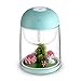 Produktbild 180 ML Mini Landschaft Luftbefeuchter, ABEDOE Ultraschall LED Nachtlichter Luftreiniger USB Lade 3 in 1 für Home Car Office Dectorations (Green)
