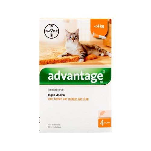Bayer Vital GmbH Advantage 40 mg für kl.Ka 4X0.4 ml