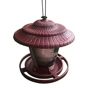 Bird Feeder Decoration Refillable Container Garden Sy Clean