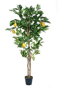 Amazon.de: McPalms Zitronenbaum 1, 40 m künstlich