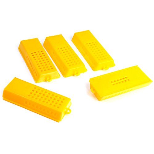 10 Stk Professional Queen Biene Butler Käfig Catcher Imkerei Werkzeug - 4