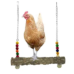 Chicken Swing Natural Wooden Toy for Hens Medium Large Bird Parrot Macaw African Grey Cockatoo Eclectus Amazon Cage Training Perch