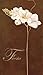 Produktbild Artland Poster Kunstdruck aufgezogen auf Holz-Platte Wand-Bild K. Frolova Aparte Freesie_braun Botanik Blumen Lilie Malerei Braun 69 x 39 x 1,2 cm A0XV