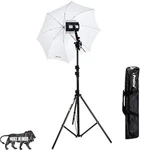 Prolite Studio B4 Continuous/Video Light Kit with 9 ft Light Stand, B4/Sungun, 1000W Halogen Tube, B-Bracket, Umbrella, Carry Bag for Photography & Videography