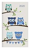  Miniplaner Style Eulen 2020 - Taschenplaner - Taschenkalender (9 x 15) - Weekly - 64 Seiten - 1 Seite 1 Woche - Terminplaner