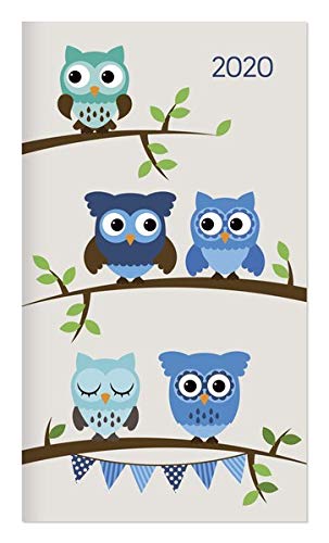 Miniplaner Style Eulen 2020 - Taschenplaner - Taschenkalender (9 x 15) - Weekly - 64 Seiten - 1 Seite 1 Woche - Terminplaner