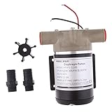 100% nagelneue Lenzpumpe, Plattformwaschpumpe. Flügelzellenpumpe, Motorkühlpumpe