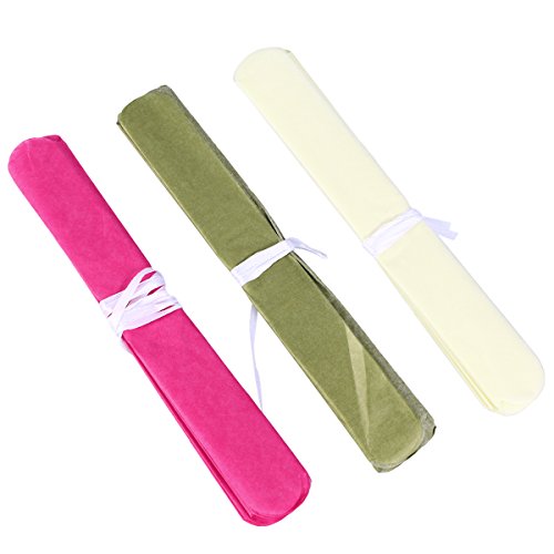 NUOLUX Papier Bienenwabe Kugeln Fan Laternen Papier Pompons für Party Dekoration, 12pcs - 5
