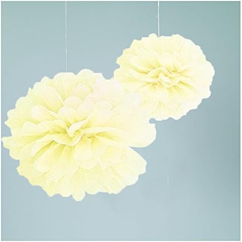 Super44day Tissue Paper Flowers Decoration Pom Poms Pompom Deco Set Paper Paper Flower Ball Decoration Kit For Wedding, baby Shower Garden Party Birthday Decoration (Ivory)