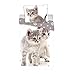 Produktbild JF Bettwäsche Katzenbabys, Katzen Wendebettwäsche 100 % Baumwolle, 140 x 200 cm, 70 x 90 cm
