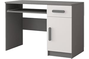 ‎POLINI HOME Polini Home Jugend- und Kinderschreibtisch 110 x 76 x 50 cm in Grau-Weiß mit grauen Griffen Colour Serie