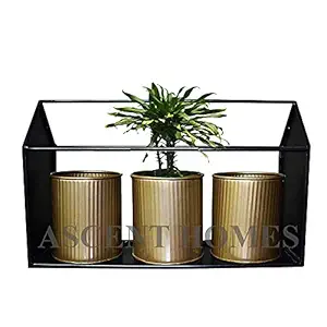 Ascent Homes Metal Hut Shape Planter or can be Used for Any Storage Also.