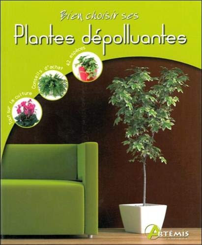 Plantes Depolluantes Plantes Depolluantes
