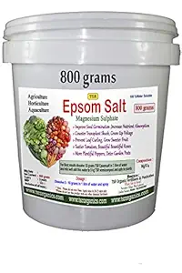 TSR Organic Fertilisers & Pesticides Epsom Salt 800 Grams Bucket, Magnesium Sulphate Fertilizer for Indoor and Outdoor Garden Plants
