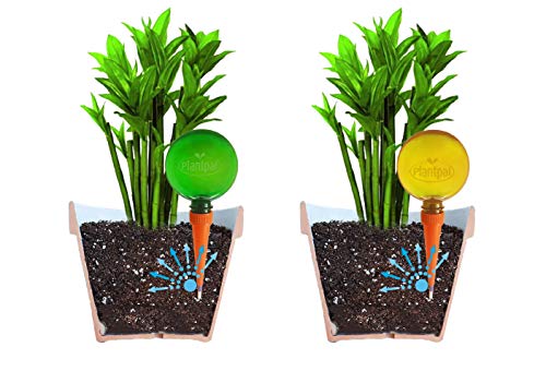 Globos de riego, de Plantpal Juego de 4 bolas Colores transparentes 2 verde y 2 naranja, visión clara de nivel de agua. Autorriego para plantas para vacaciones o para todos los días.