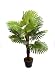 Produktbild Best Artificial Künstliche Palme, 90 cm, für den Innen- und Außenbereich, tropisch
