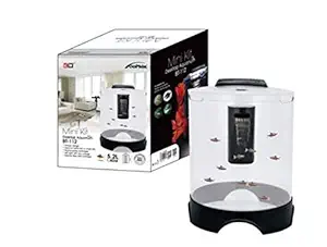 Dophin Aquarium Tank (Mini Betta Tank BT-112 : 5.2L/ 1.4Gal) 20 X 23.5 CMS-Central Fish Aquarium