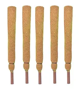 COIR GARDEN Coco Pole - Coir Moss Stick (2 Feet, 60 cm, 5 Pieces) for Plant Support