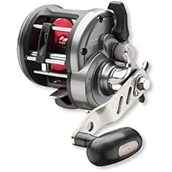 Daiwa Sealine 30LWLA carrete multiplicador