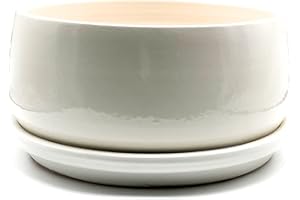 ALFAREROS DAMIAN CANOVAS Maceta DE Barro Modelo Bazinga ESMALTADO Blanco + Plato + Medidas 25 CM X12CM