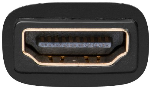 10 Stück, Wentronic 68931 HDMI/DVI-D Adapter (19polig, HDMI-Buchse auf DVI-D Stecker) - 2