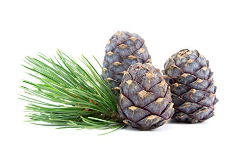 Bio-Zirbenöl | 10ml - 9
