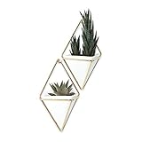 UMBRA Trigg, Jardinière Suspendue & Pot Géométrique pour Décoration Murale - Idéal pour des Plantes Succulentes, des Plantes Aériennes, des Mini Cactus, des Fausses Plantes et Autres, Céramique Blanche/Laiton (Lot de 2)