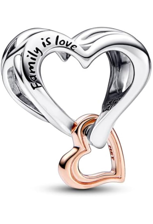 LaMenars Bee & Flower Charms en argent 925 pour bracelets et colliers de femmes pendentifs pour Noël, la Saint-Valentin et la fête des mères Cadeaux LaMenars Bee & Flower Charms en argent 925 pour bracelets et colliers de femmes pendentifs pour Noël, la Saint-Valentin et la fête des mères Cadeaux