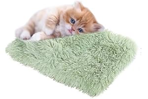 N\C Couvertures moelleuses en peluche pour chiens Double face Super Soft Couverture chaude et douce Couverture pour chien de compagnie Couverture de lit Couverture de lit Animal , 36 * 56 cm Fruit vert