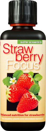 Strawberry Focus Liquid Concentrated Fertiliser 300 ml