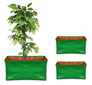 Nabaat Terrace Gardening Grow Bag for Vegetable Fruits Plants (18 x12 x9 )  Pack of 2