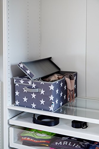 STORE.IT 670988 XL Aufbewahrungsbox mit Klappdeckel, Storage Box, Kleiderschrank, aus reißfestem Polyester, grau - 2