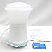 The First Years Baby Pro All-in-One Blender and Steamer
