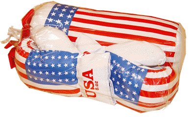 Preisvergleich Produktbild E+L Kinder-Boxsack "Amerika" mit Box-Handschuhen