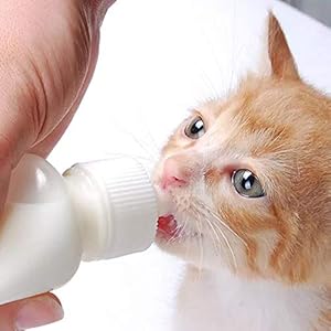 Ogquaton 1 UNIDS 50 ML Botella de Leche para Mascotas Transparente con Pezón de Goma Botella de Alimentación para Mascotas Alimentador de Leche para Perrito Gatito
